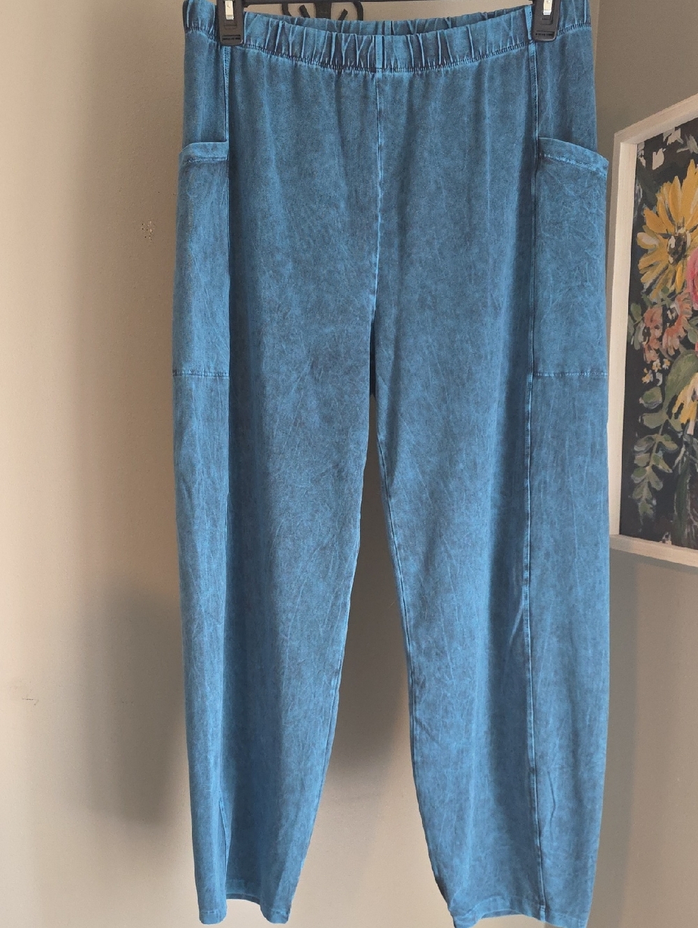 Jess & Jane Blue Women's Pants with Side Pockets Size XL